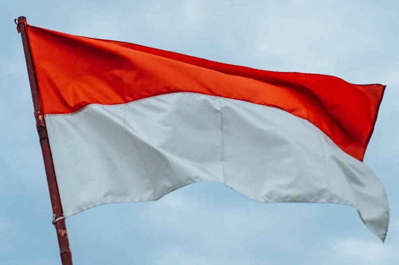 Indonesia Flag with Sky Background